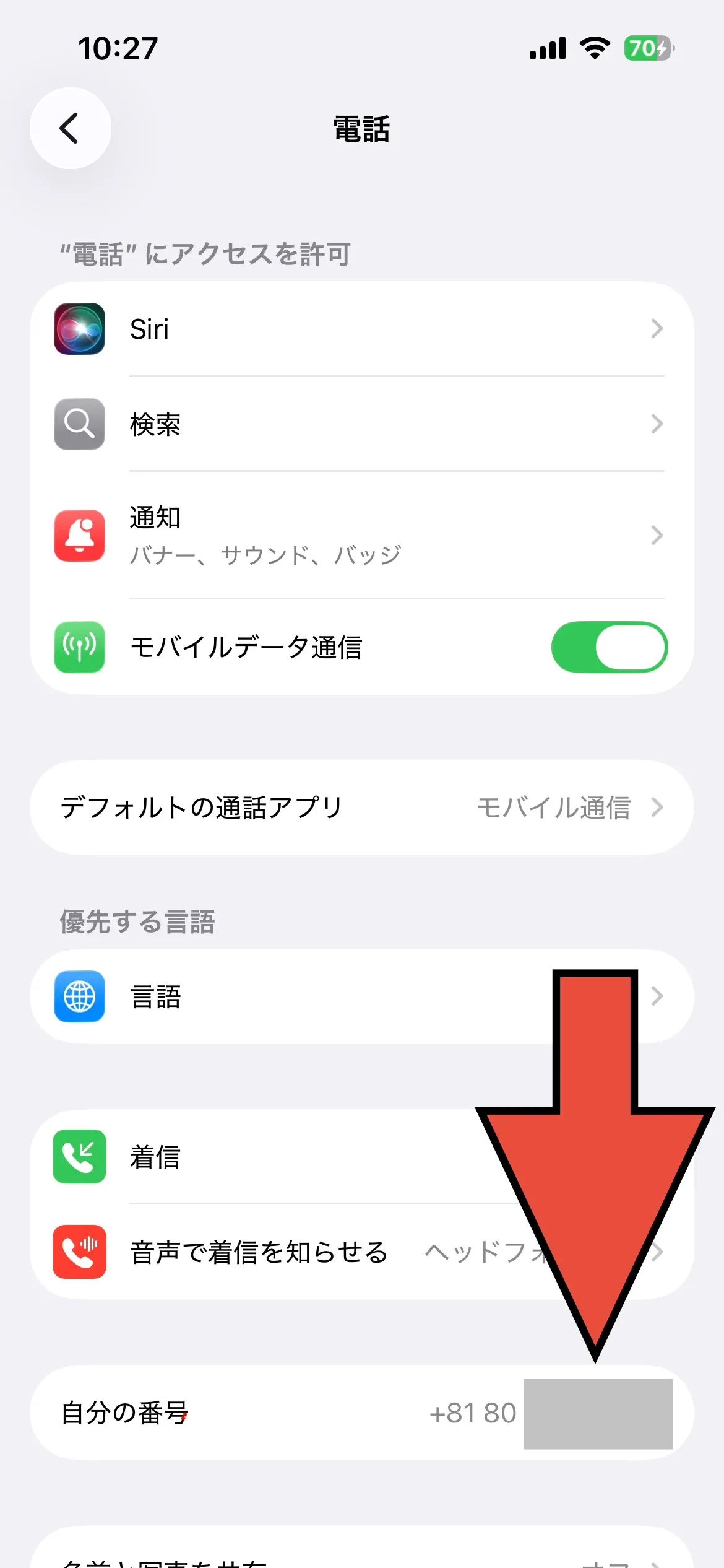 設定アプリの『電話』画面で自分の番号が表示されているスクリーンショット