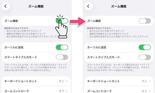 設定アプリからアクセシビリティ&rarr;ズームを開き、ズームのスイッチをオフにしている画面のスクリーンショット例