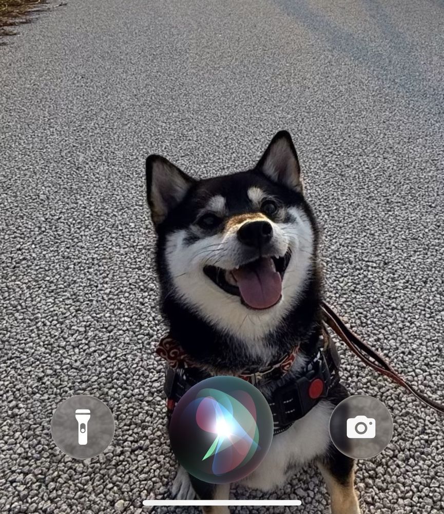 iPhoneのロック画面でSiriを起動した画面